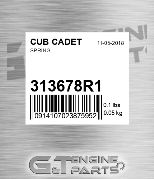 313678R1 Spring