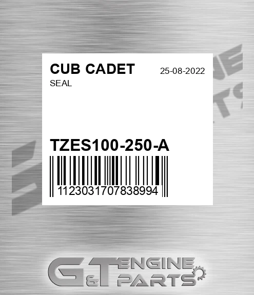 TZES100-250-A Seal