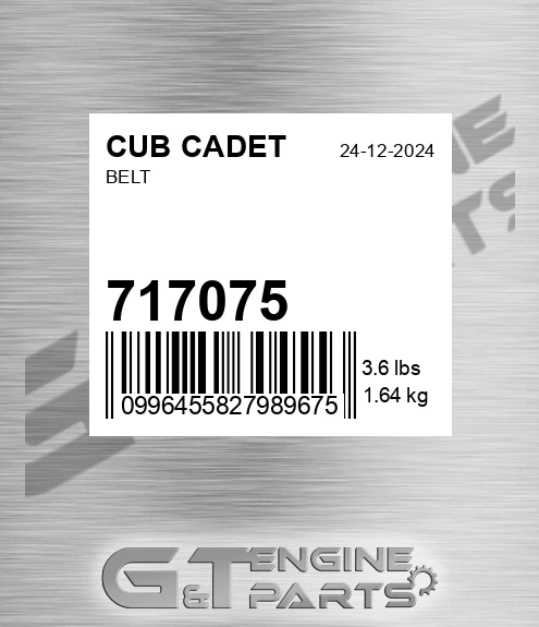 717075 Belt
