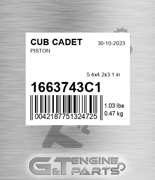 1663743C1 Piston
