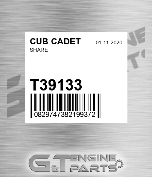 T39133 Share