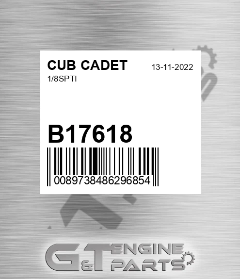 B17618 1/8spti