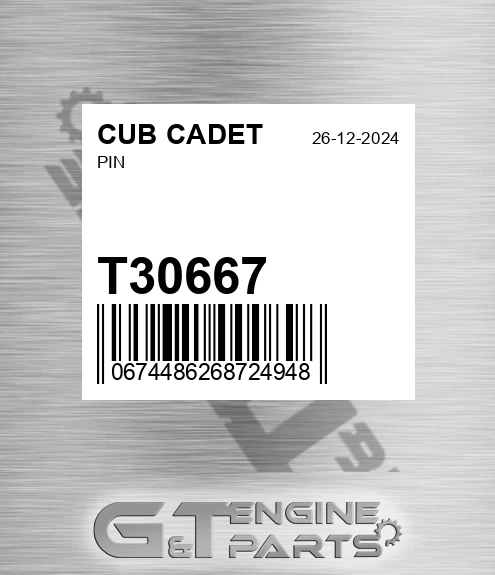 T30667 Pin