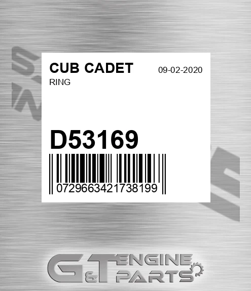 D53169 Ring