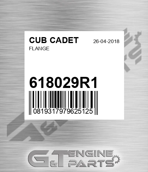 618029R1 Flange
