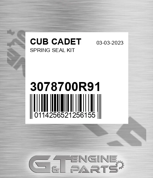 3078700R91 Spring Seal Kit for CUB CADET