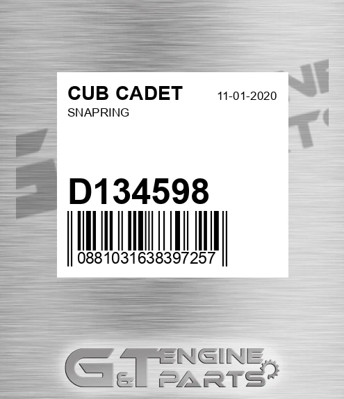 D134598 Snapring