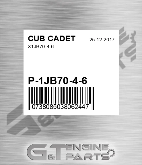 P-1JB70-4-6 X1jb70-4-6 for CUB CADET