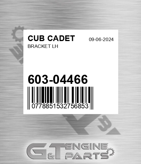 603-04466 Bracket Lh