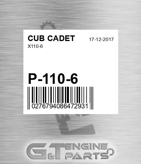 P-110-6 X110-6