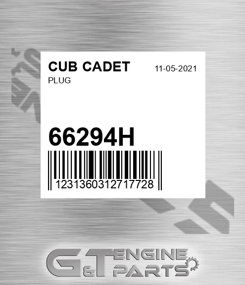 66294H Plug for CUB CADET