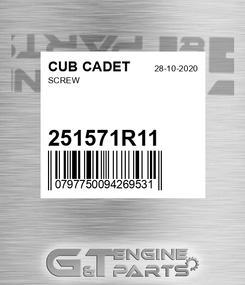 251571R11 Screw