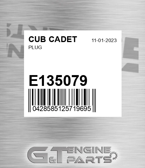E135079 Plug
