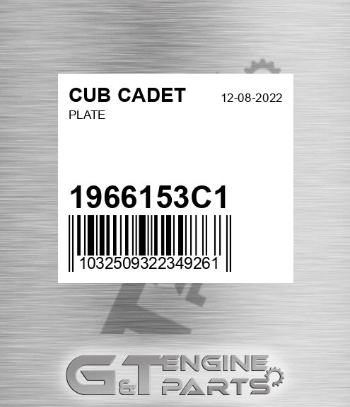 1966153C1 CUB CADET Plate