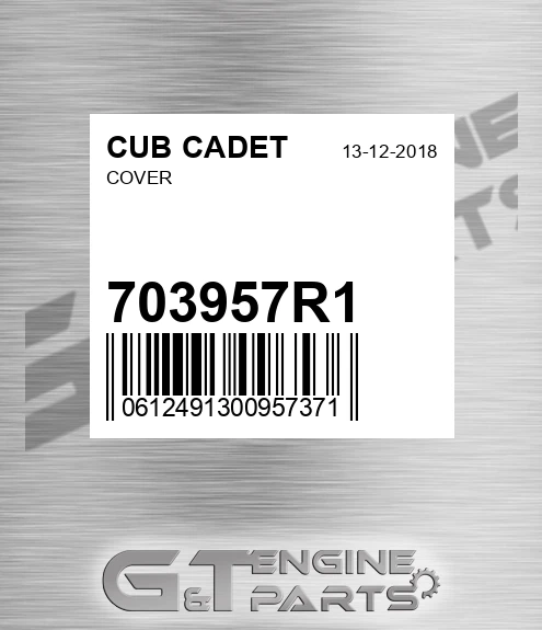 703957R1 Cover
