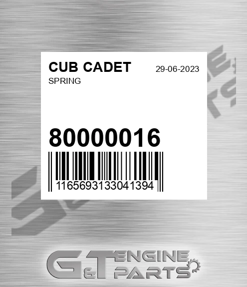 80000016 Spring
