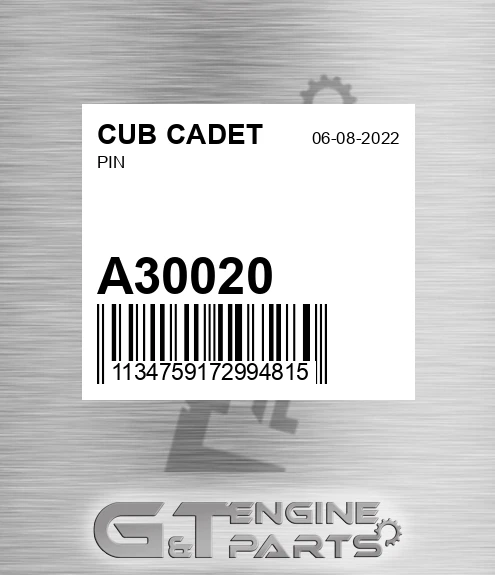 A30020 Pin