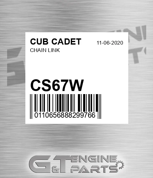 CS67W Chain Link