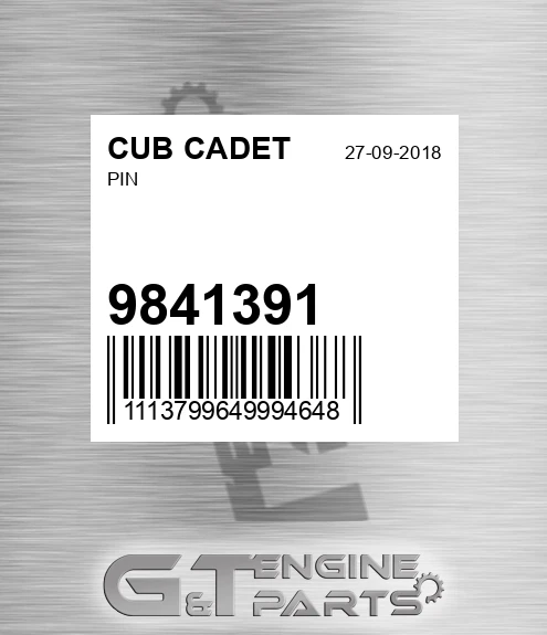 9841391 Pin for CUB CADET