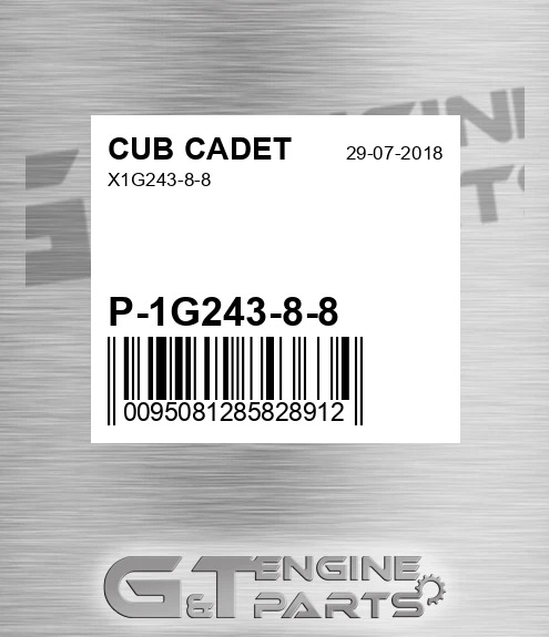 P-1G243-8-8 X1g243-8-8