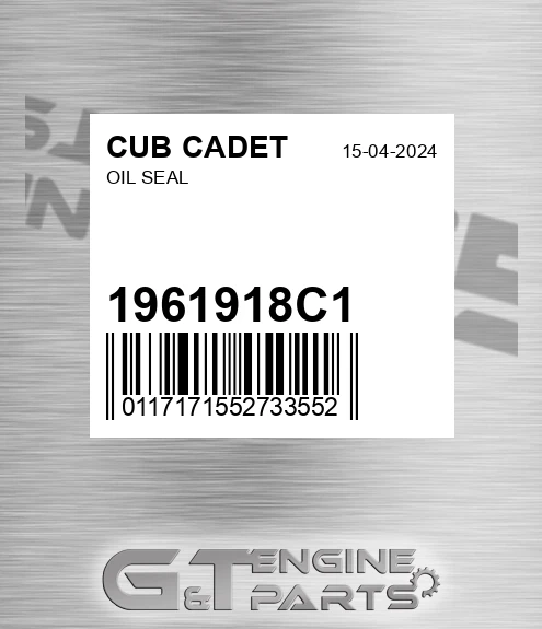 1961918C1 Oil Seal