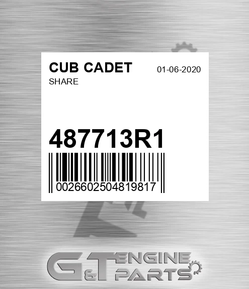 487713R1 Share for CUB CADET