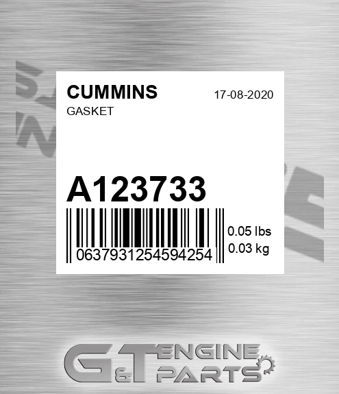 A123733 Gasket