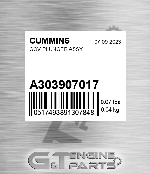 A3039070-17 Gov Plunger Assy for CUMMINS