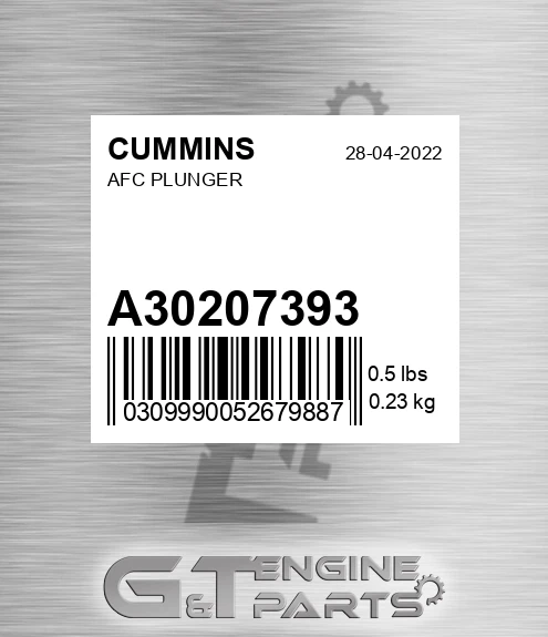 A3020739-3 Afc Plunger for CUMMINS