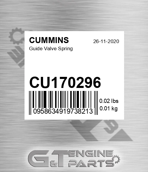 CU170296 Guide Valve Spring