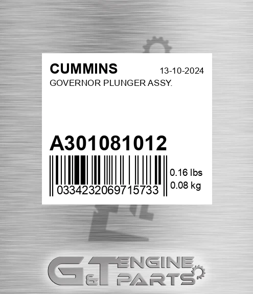 A3010810-12 Governor Plunger Assy. for CUMMINS