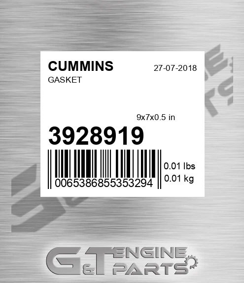 3928919 Gasket