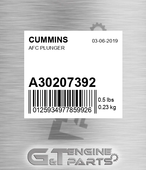 A3020739-2 Afc Plunger for CUMMINS