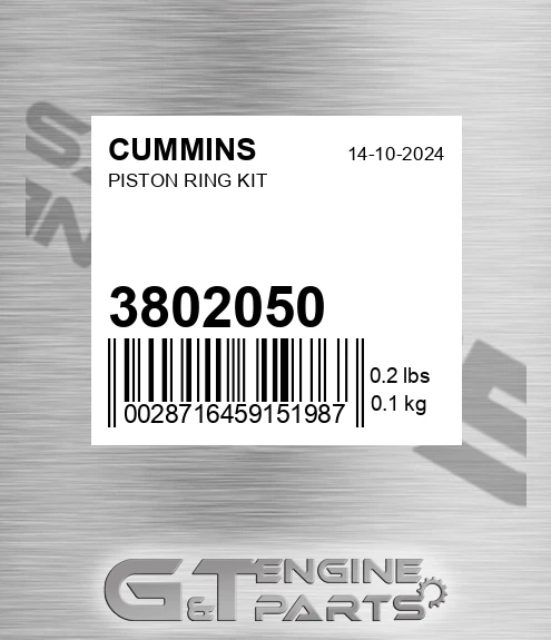 3802050 Piston Ring Kit