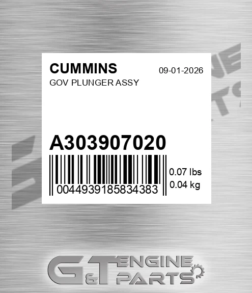 A3039070-20 Gov Plunger Assy for CUMMINS