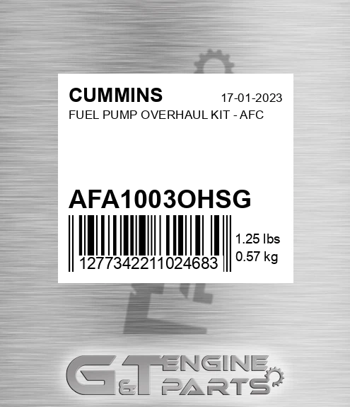 AFA1003OHS-G Fuel Pump Overhaul Kit - Afc for CUMMINS