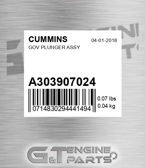 A3039070-24 Gov Plunger Assy for CUMMINS