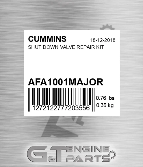 AFA1001MAJOR CUMMINS Shut Down Valve Repair Kit