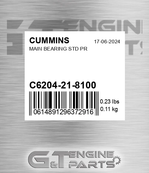 C6204-21-8100 Main Bearing Std Pr for CUMMINS