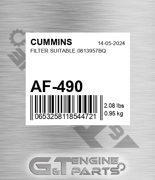 AF-490 Filter Suitable 0813957bq