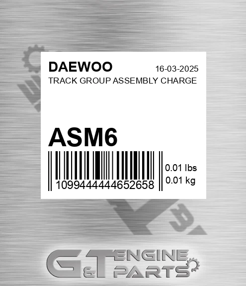 ASM6 Track Group Assembly Charge