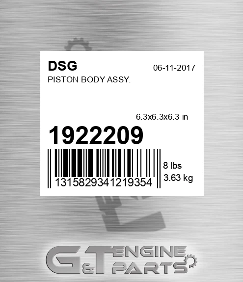 1922209 DSG Piston Body Assy.