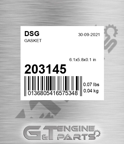 203145 DSG Gasket