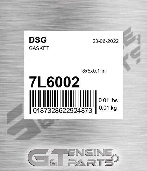 7L6002 DSG Gasket