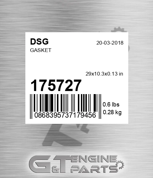 175727 DSG Gasket