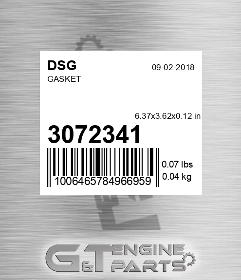 3072341 DSG Gasket