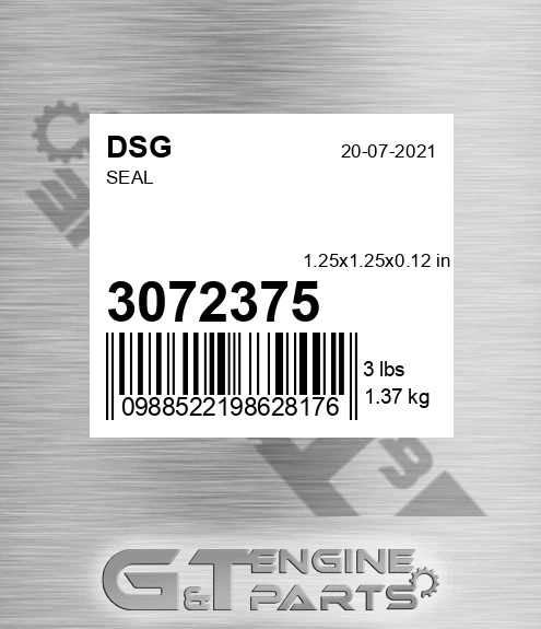 3072375 DSG Seal
