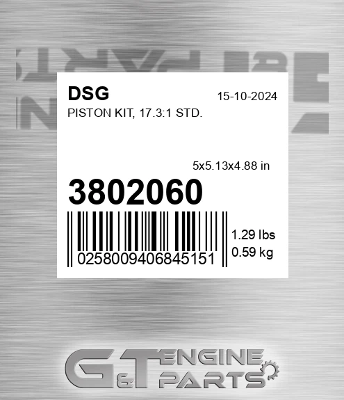3802060 Piston Kit, 17.3:1 Std.