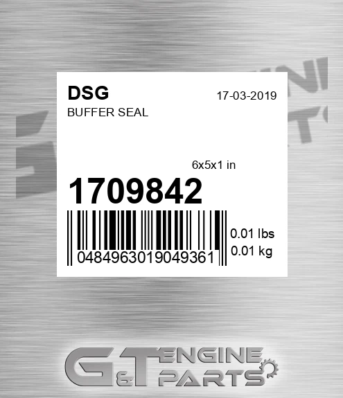1709842 DSG Buffer Seal