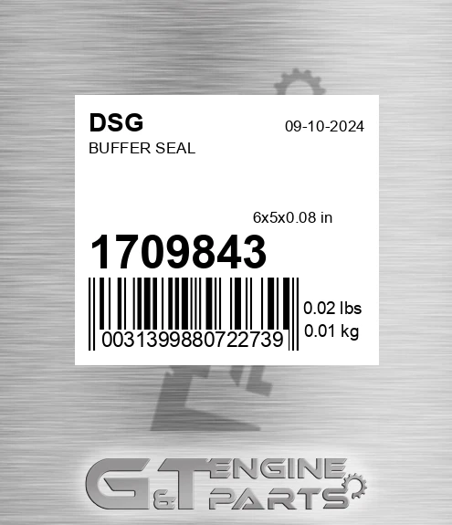 1709843 DSG Buffer Seal
